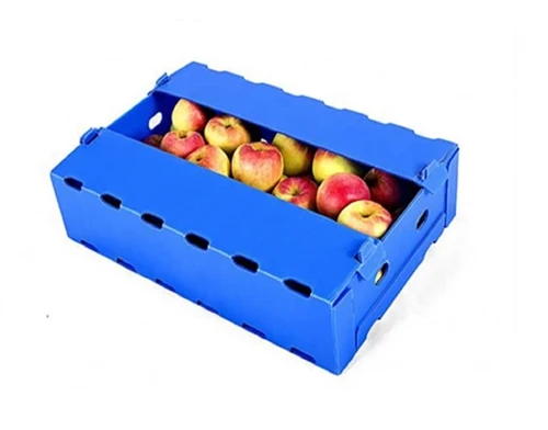Application Areas Of Corrugated Plastic Boxes